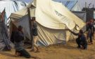 باحث اقتصادي: شتاء غزة 2026 يضاعف كلفة النزوح ويستنزف جيوب الأسر - ps