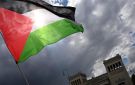 بيان مصري صيني : القضية الفلسطينية هي القضية المركزية في الشرق الأوسط