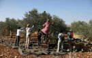 لأول مرة.. إسرائيل تمنع الفلسطينيين من حصاد محاصيلهم في أراض بالضفة