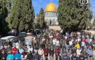 رغم القيود المشدد.. أكثر من 75 ألف مصل أدوا صلاة الجمعة في الأقصى