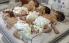غزة تسجل 5493 مولودا و203 حالات وفاة خلال أغسطس - ps