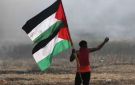 كاتبة نمساوية: حل الدولتين كلام بلا قيمة إن لم تعد الأرض للفلسطينيين