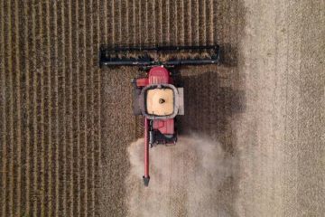 فول الصويا يواصل ارتفاعه ليصل لأعلى مستوى في 15 شهرا فول الصويا يواصل ارتفاعه ليصل لأعلى مستوى في 15 شهرا