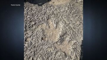 زيارة أمريكا ستصبح أكثر تكلفة.. رسوم جديدة تنتظر المسافرين الأجانب