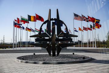 رويترز: مندوبو دول الناتو يجتمعون مع مسؤولين من دول الخليج الأسبوع المقبل رويترز: مندوبو دول الناتو يجتمعون مع مسؤولين من دول الخليج الأسبوع المقبل