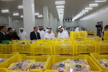  البلدية القطرية: توفر مخزون استراتيجي لمدخلات إنتاج مزرعتي 