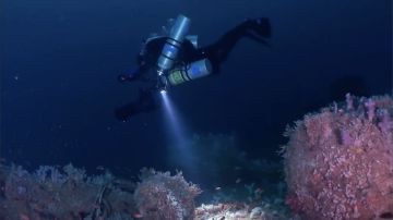 هكذا علق السيسي لبزشكيان على هجمات إيران ضد دول الخليج والأردن والعراق هكذا علق السيسي لبزشكيان على هجمات إيران ضد دول الخليج والأردن والعراق