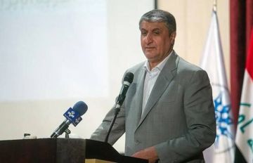 إيران تحتج على منع رئيس منطمتها الذرية من دخول النمسا إيران تحتج على منع رئيس منطمتها الذرية من دخول النمسا