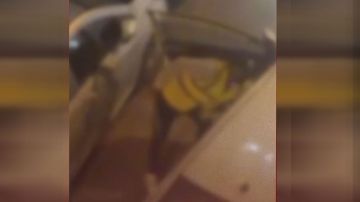 السعودية.. فيديو موقف خطير بأحد أحياء الرياض والأمن يرد السعودية.. فيديو موقف خطير بأحد أحياء الرياض والأمن يرد