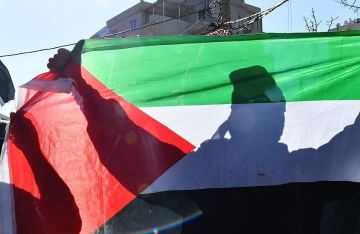 شوارع أمستردام تتشح بالأحمر.. ربع مليون شخص في مسيرة كبرى دعما لفلسطين ورفضا لموقف هولندا