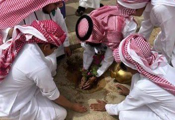 تعليم الطائف يشارك في موسم التشجير الوطني