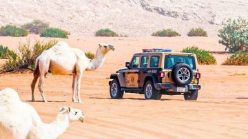 الأمن البيئي يضبط مخالفين في عدة مناطق.. وغرامات تصل إلى 10 ملايين ريال