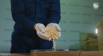 زاتكا تحبط تهريب 48 ألف حبة كبتاجون في منفذ الحديثة وتطيح بـ 4 متورطين زاتكا تحبط تهريب 48 ألف حبة كبتاجون في منفذ الحديثة وتطيح بـ 4 متورطين