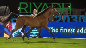 برعاية كريمة من أمير منطقة الرياض.. انطلاق بطولة الإنتاج المحلي لجمال الخيل العربية الأصيلة 2025