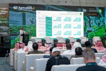 القطاع الزراعي يحقق قفزات نوعية ويسهم بـ31.5 مليار دولار في الناتج المحلي القطاع الزراعي يحقق قفزات نوعية ويسهم بـ31.5 مليار دولار في الناتج المحلي