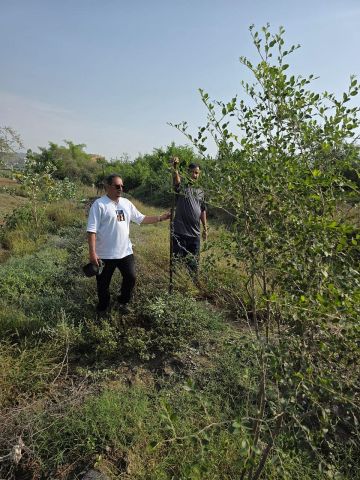مواطن يغرس 600 شجرة سدر في وادي قنا بإشراف فرع وزارة البيئة بعسير مواطن يغرس 600 شجرة سدر في وادي قنا بإشراف فرع وزارة البيئة بعسير