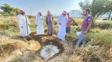 بيئة العرضيات تنفذ ورشة حقلية لتعزيز زراعة الزيتون بيئة العرضيات تنفذ ورشة حقلية لتعزيز زراعة الزيتون