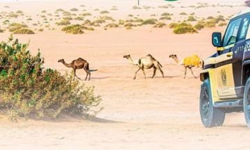 باكستان تغلق حدودها مع أفغانستان بعد تبادل القصف والمواجهات المسلحة