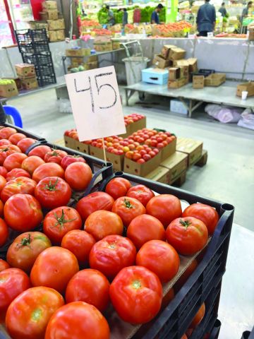 الأردنية رفعت المعروض.. نزول تدريجي لأسعار الطماطم