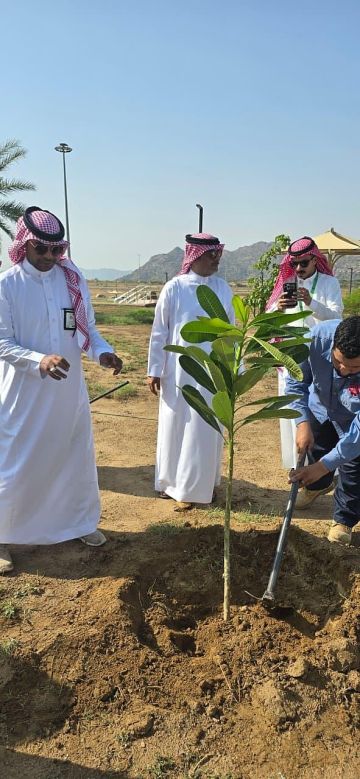 مبادرة لتشجير 3 آلاف شجرة في العرضيات بمشاركة جهات حكومية وخاصة