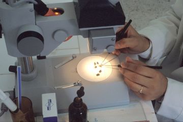 وقاء توضح إجراءات الوقاية من الدودة الحلزونية التي تصيب الثروة الحيوانية