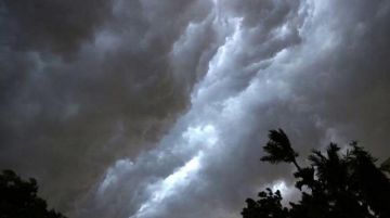 حالة جوية قوية تضرب 6 مناطق.. أمطار غزيرة ورياح نشطة تؤدي إلى تدن في الرؤية وجريان السيول