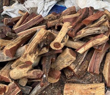 طلب متزايد على الحطب في الشرقية منذ بداية أكتوبر استعدادا للشتاء ومجالس شبة الضو