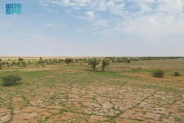 من شعيب البدع إلى العالمية.. محمية الإمام تركي بن عبدالله تجسد ريادة المملكة في الاستدامة بانضمامها لليونسكو من شعيب البدع إلى العالمية.. محمية الإمام تركي بن عبدالله تجسد ريادة المملكة في الاستدامة بانضمامها لليونسكو