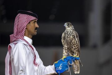 ثلاثة صقور منغولية تباع بـ420 ألف ريال في معرض الصقور والصيد السعودي الدولي 2025