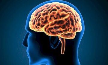 دراسة تحذر: اختلال توازن السكر في الدماغ يحفز الاكتئاب