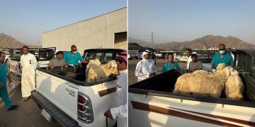 بيئة العرضيات تنفذ ورشة توعوية حول الوقاية من أمراض المواشي خلال موسم الأمطار