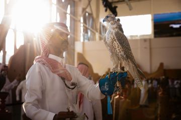 50 صقرا منغوليا في معرض الصقور والصيد السعودي الدولي 2025