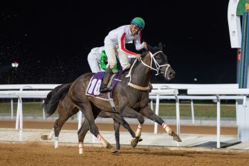 4 كؤوس يشهدها الأسبوع الثاني من موسم سباقات الرياض