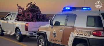 ضبط مواطن لتخزين وتفحيم الحطب المحلي في المدينة المنورة