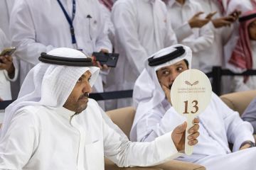 ثلاثة صقور منغولية تباع بـ420 ألف ريال في معرض الصقور والصيد السعودي الدولي 2025