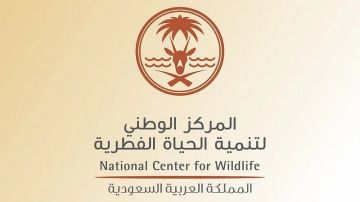 أول تقييم علمي شامل يرصد تنوع الأحياء البحرية والطيور في السواحل السعودية الشرقية بتوقيع الحياة الفطرية أول تقييم علمي شامل يرصد تنوع الأحياء البحرية والطيور في السواحل السعودية الشرقية بتوقيع الحياة الفطرية