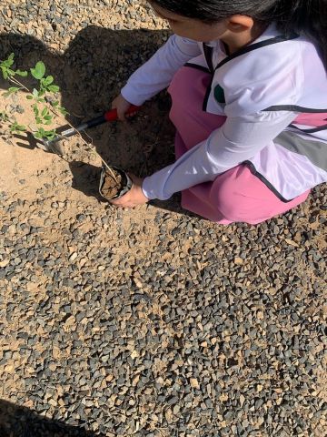 بيئة رنية تنفذ مبادرة تطوعية لتشجير ونظافة المدرسة الابتدائية السادسة بحي الملحة