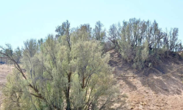 أكثر من 39 مليون راكب استخدموا قطارات المملكة خلال 3 أشهر