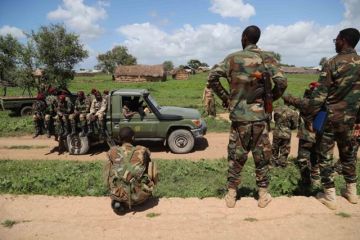 الجيش الصومالي يعلن مقتل قائد في مليشيات الشباب الإرهابية الجيش الصومالي يعلن مقتل قائد في مليشيات الشباب الإرهابية