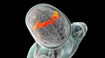 تقدم علمي واعد.. دراسة تكشف أسباب جديدة للتصلب الجانبي الضموري