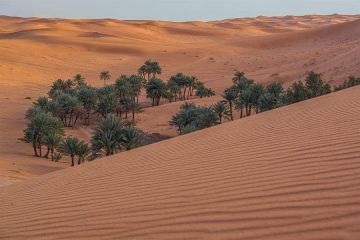 بالصور العقل الأثرية.. ذاكرة الزلفي العتيقة بين الرمال والنقوش