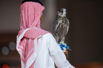 بربع مليون ريال.. بيع صقرين من منغوليا لأول مرة بمعرض الصقور والصيد السعودي الدولي