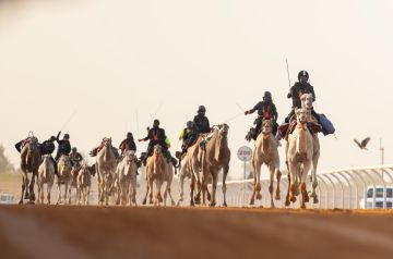 المنتخب السعودي يتوج بلقب كأس العرب للهجن بنسخته الثانية