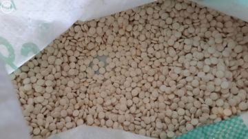 إحباط تهريب 5.4 مليون حبة كبتاجون مخبأة في إرسالية فحم