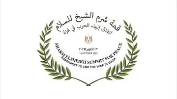 الرئاسة المصرية: قمة شرم الشيخ للسلام تعقد غدا برئاسة السيسي وترامب