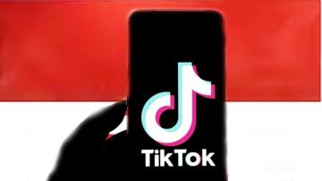 حكومة إندونيسيا تعلق ترخيص تيك توك لعدم توفير بيانات عن المتظاهرين