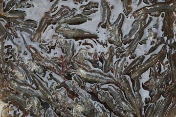 إندونيسيا ترصد تلوثا إشعاعيا في 22 منشأة صناعية قرب جاكرتا