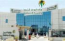 الموارد البشرية والتجارة تبدآن تنفيذ المرحلة الأولى من توطين المهن المحاسبية بنسبة 40 - sa