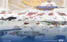تجمع الرياض الأول يعزز التكامل الصحي في وادي الدواسر والسليل - sa