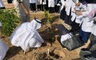 مبادرة بيئية بجدة: زراعة 1000 شتلة في جامعة الملك عبدالعزيز - sa